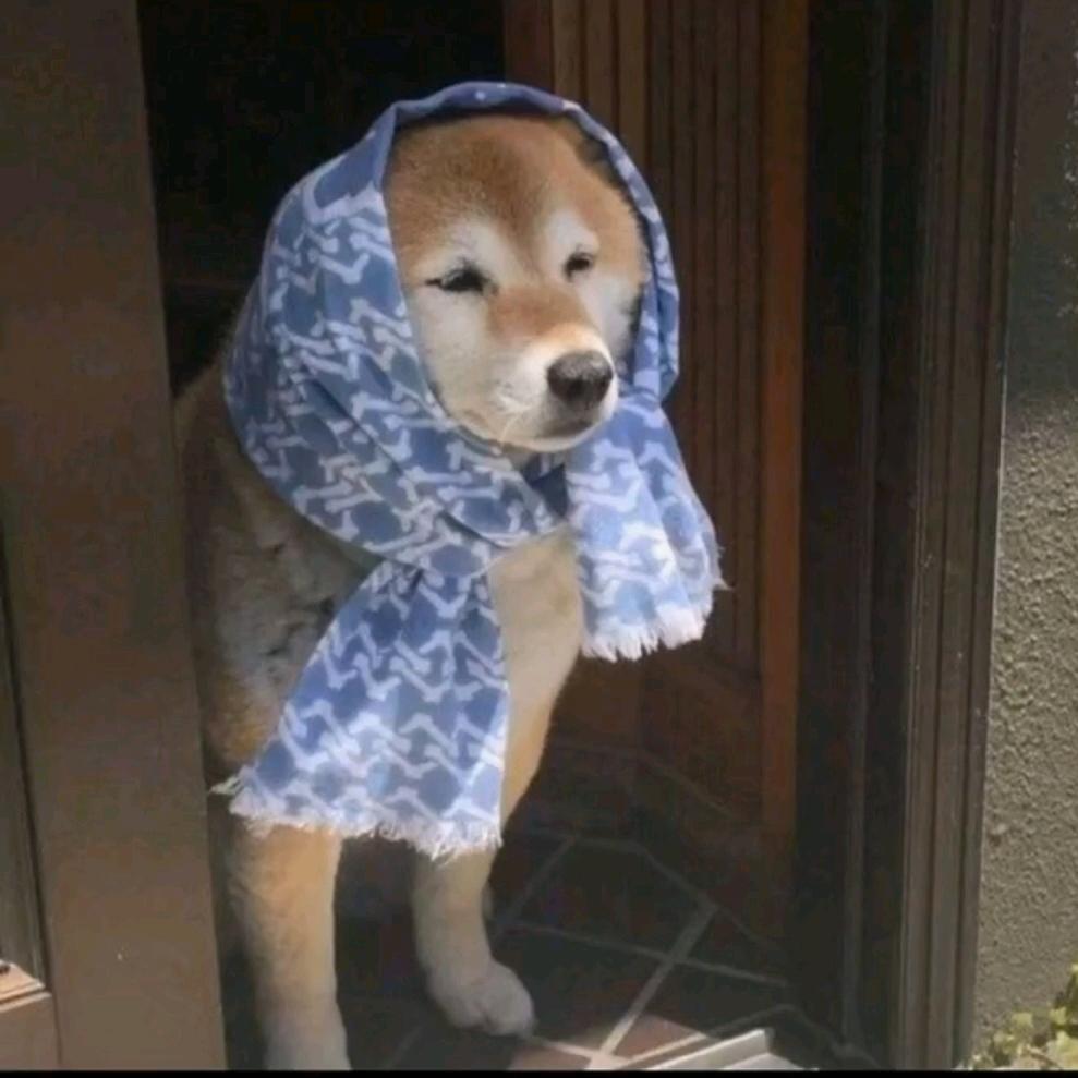 优雅的duck粥