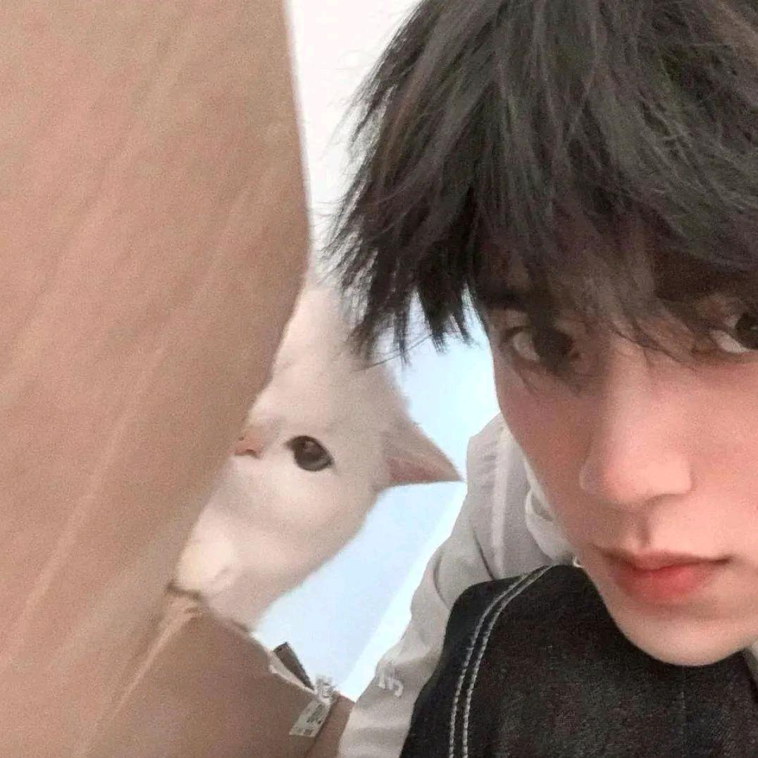 universesuper轩大将军