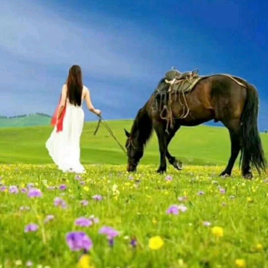 🧚‍♂️夏荷🧚‍♀️