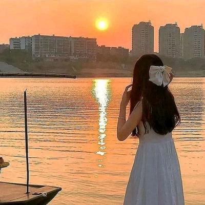 海边玫瑰
