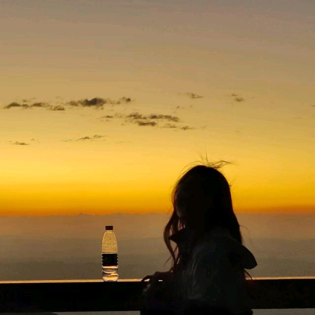 豆子钉钉钉子豆