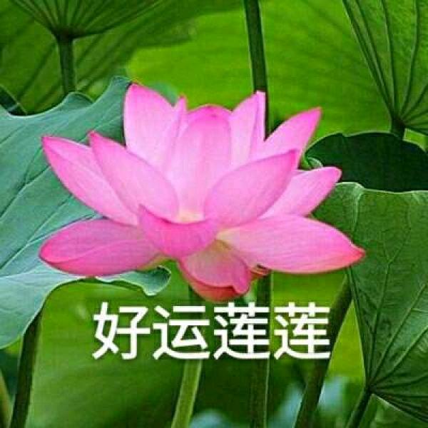 幸福
