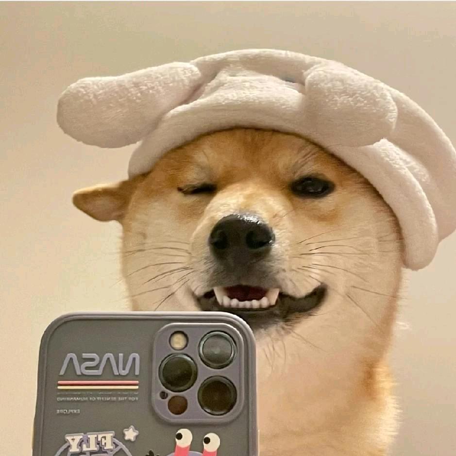 冰冰🧊