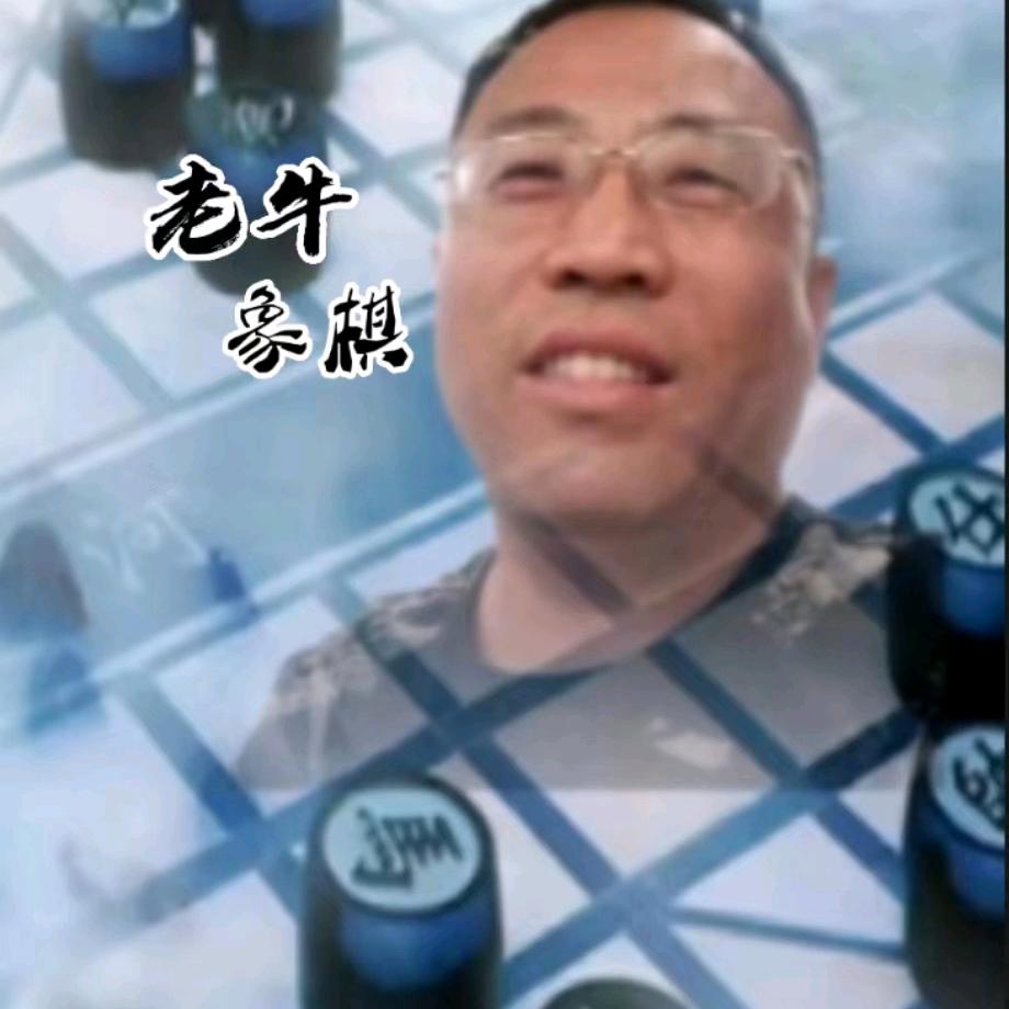 老牛象棋招生