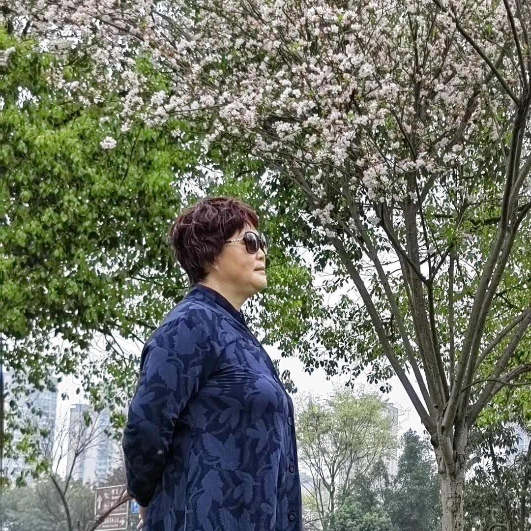 樱花奶奶