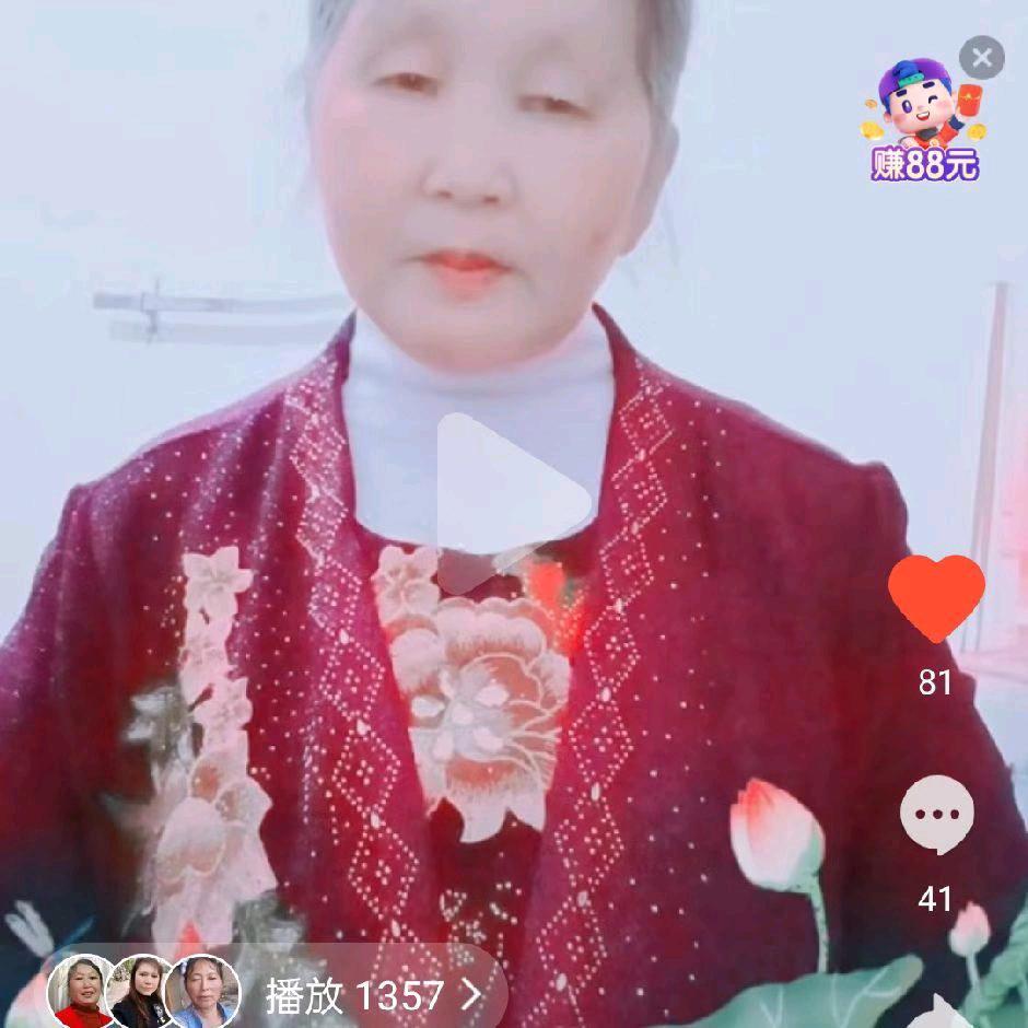 杨姐专线