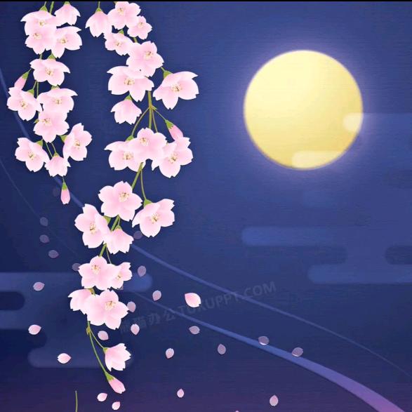 花月满楼