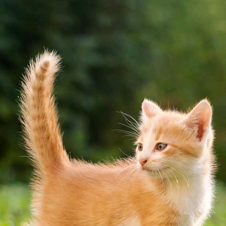 乐在其中🍀🌸