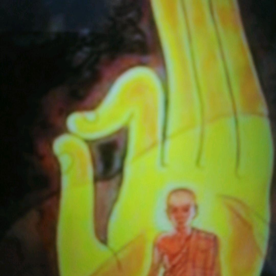 悦目之声(秦姐)