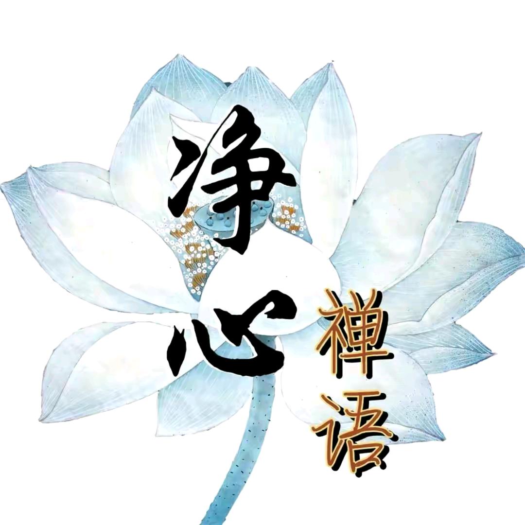 禅城先生