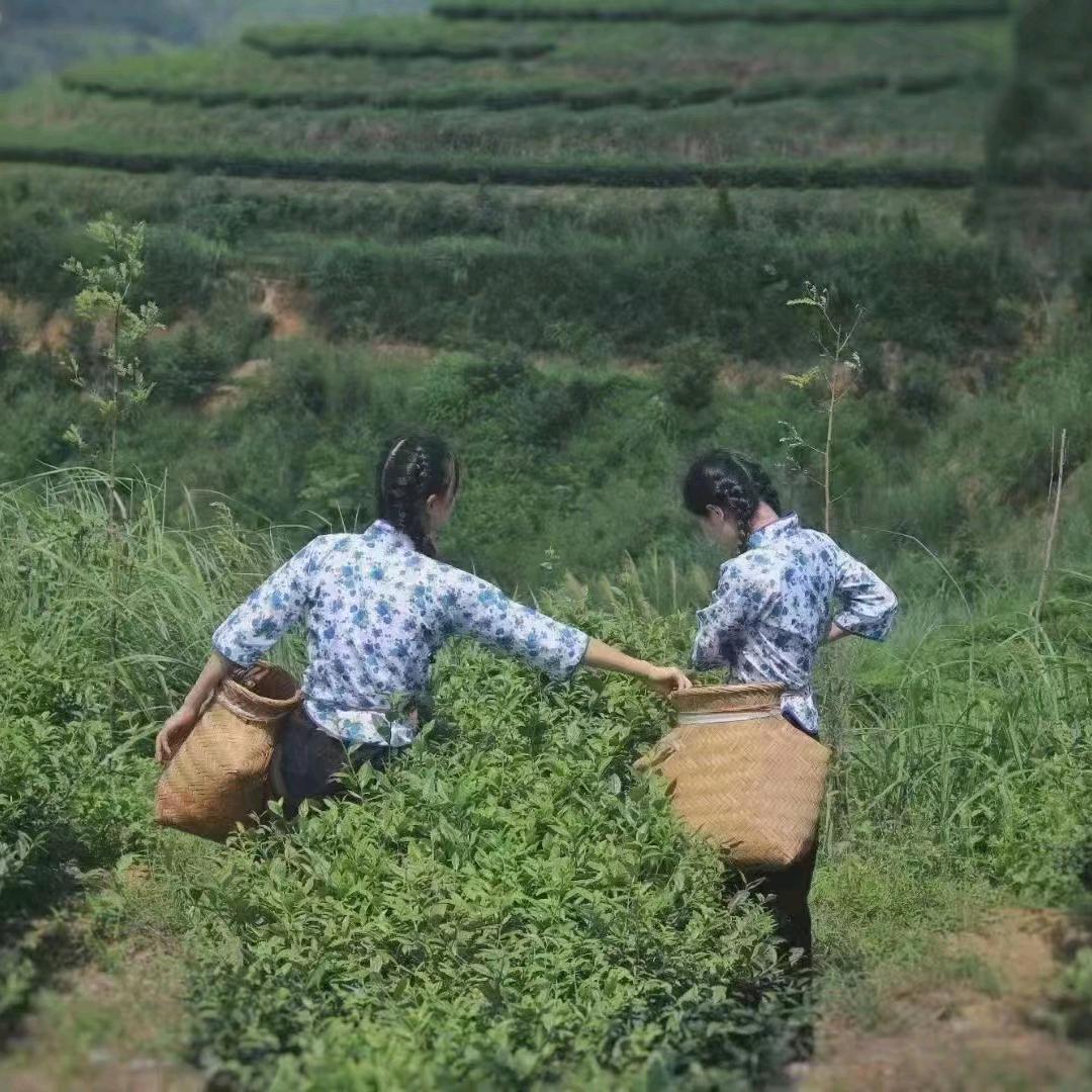 闽南小妮子☞振兴乡村农产品