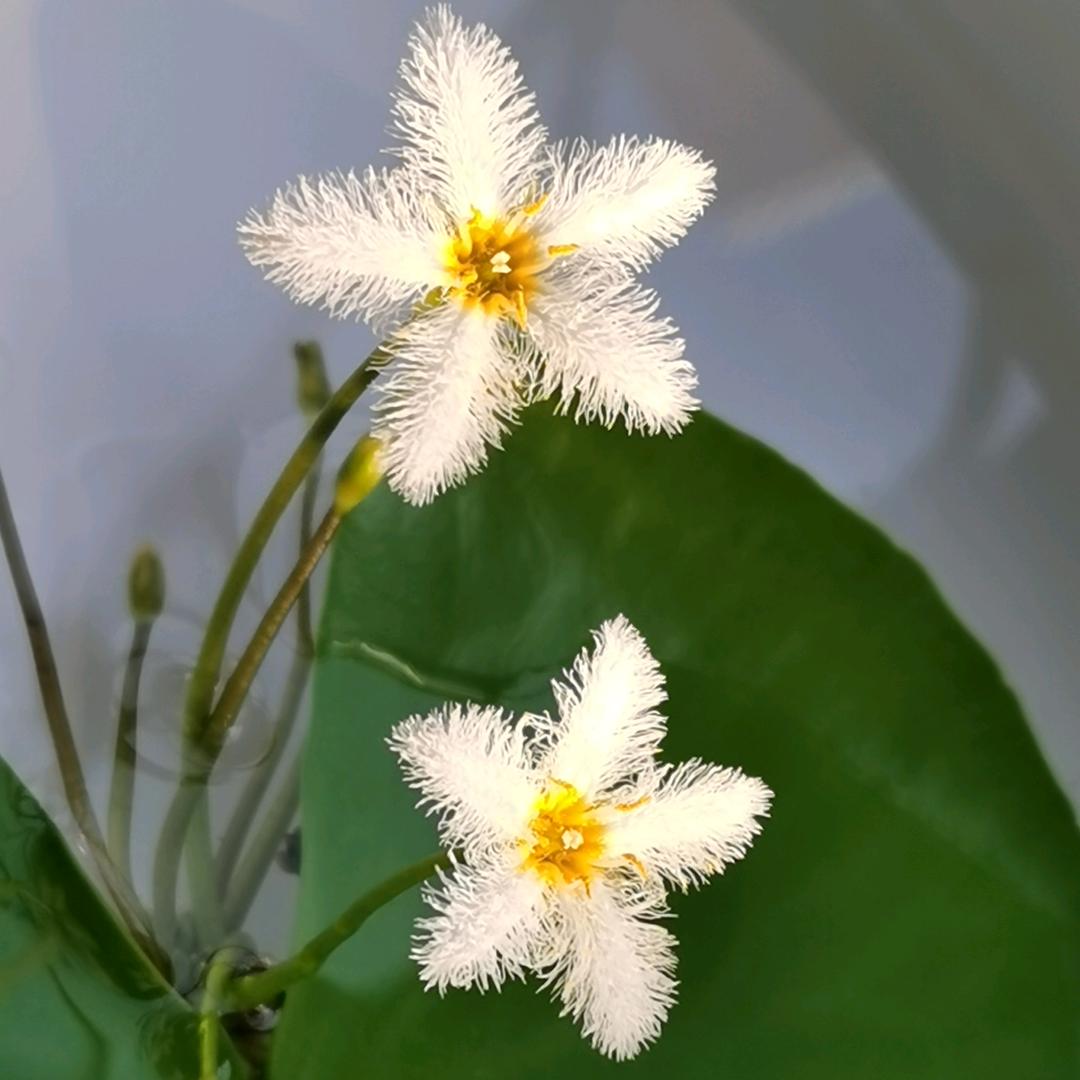 听雨*