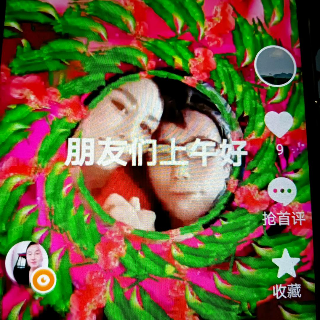 四季花开