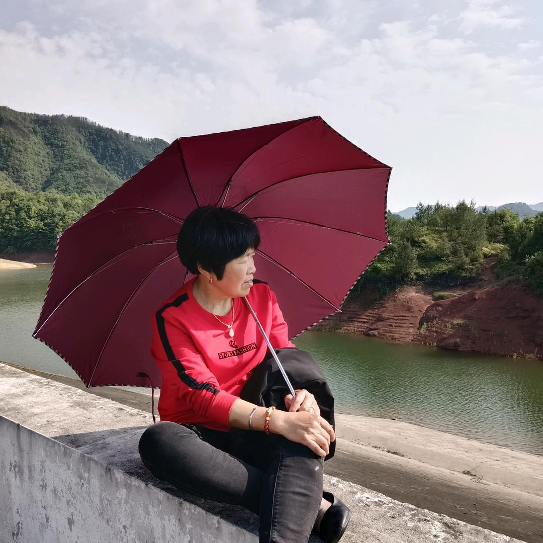 水凤