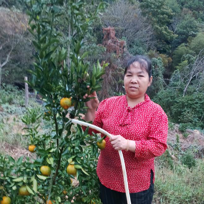 秀春奶奶