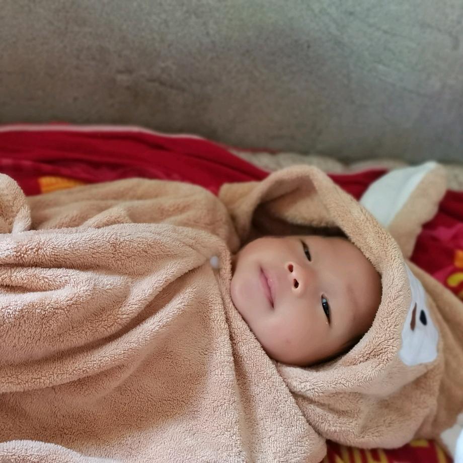 爱美食的杨先生