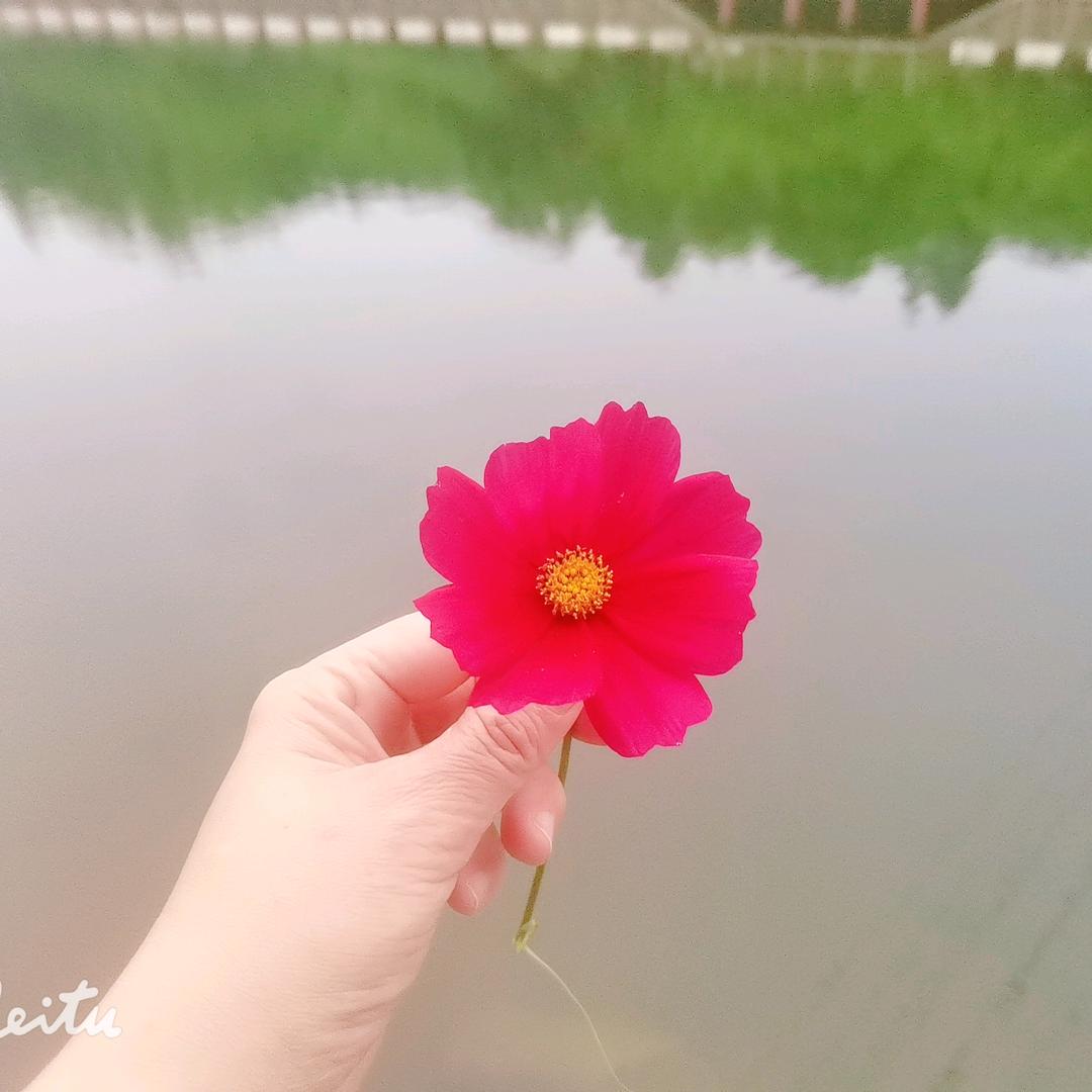 一颗尘埃