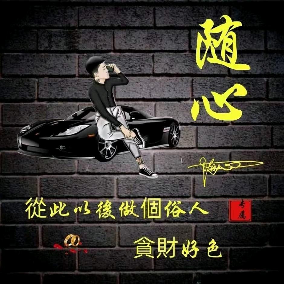 TL-随心