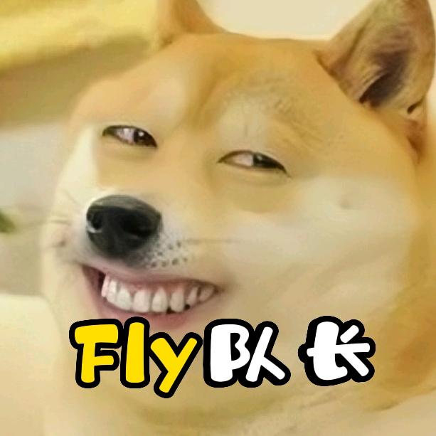 Fly游戏队长