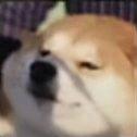、