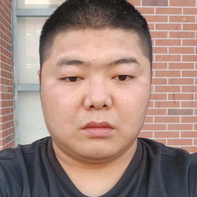 二迪