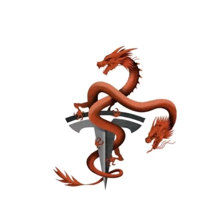 长青说车（国产车在国外）