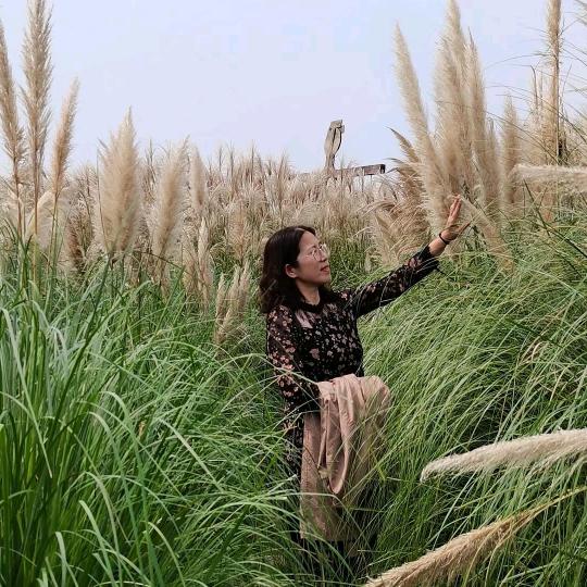 静若繁花