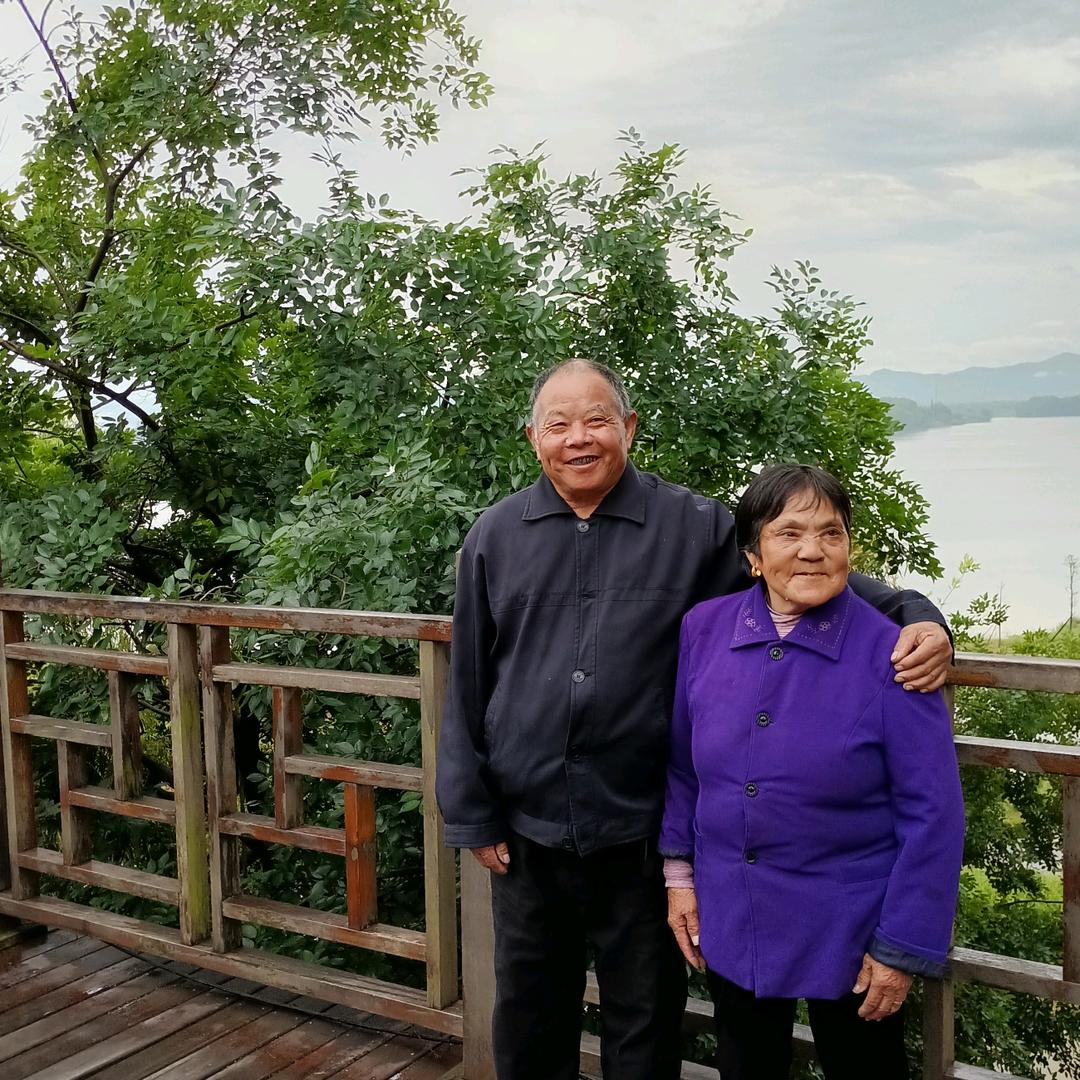 ‘胡jl水龙砍：：水龙