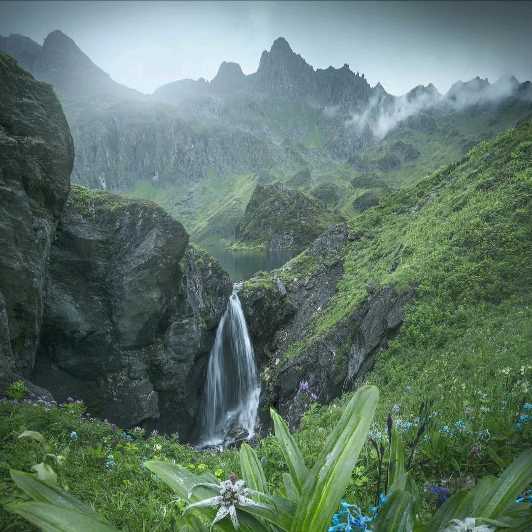 🔥养生堂🔥🔥