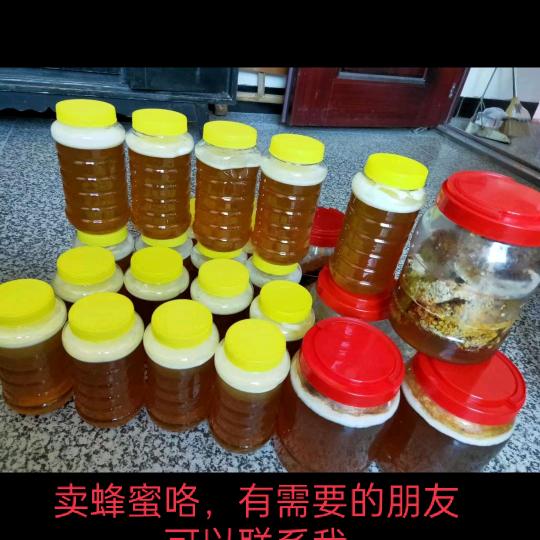 我心向阳