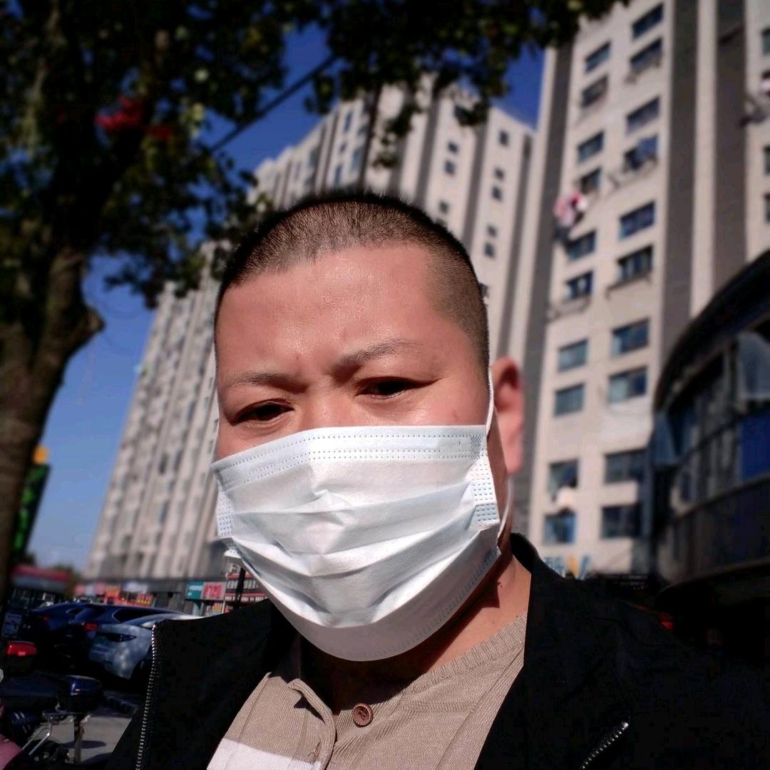 江浙沪，《飞》