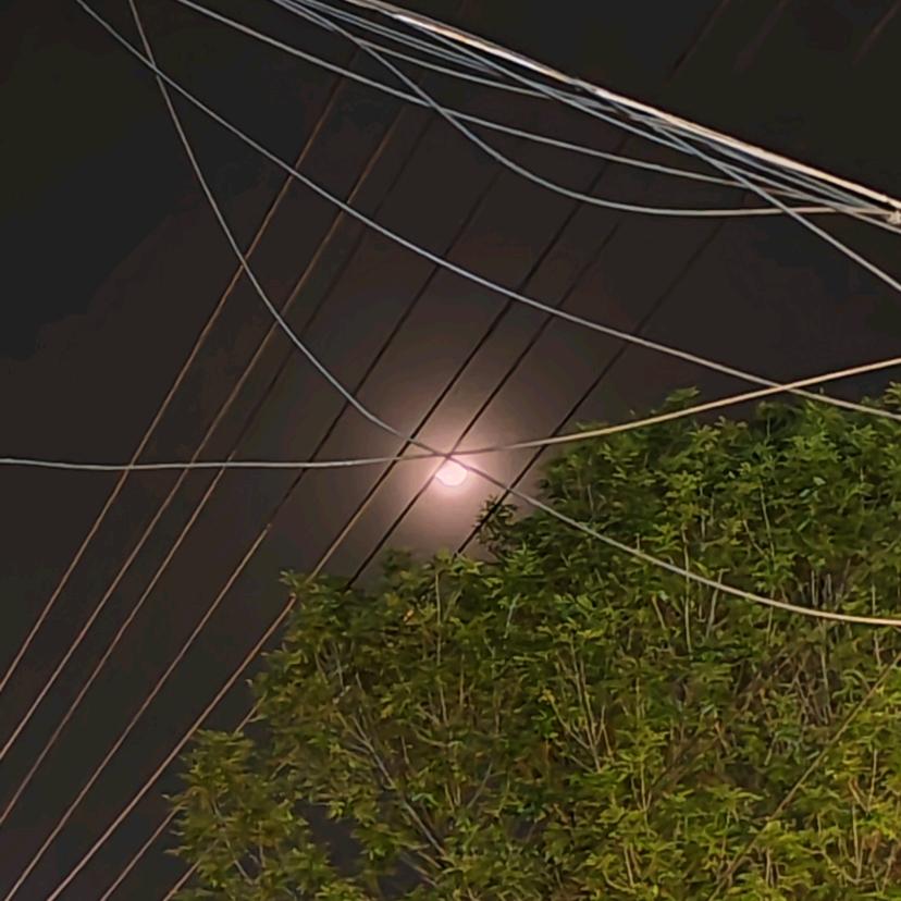 柚柚的佑佑的爸爸