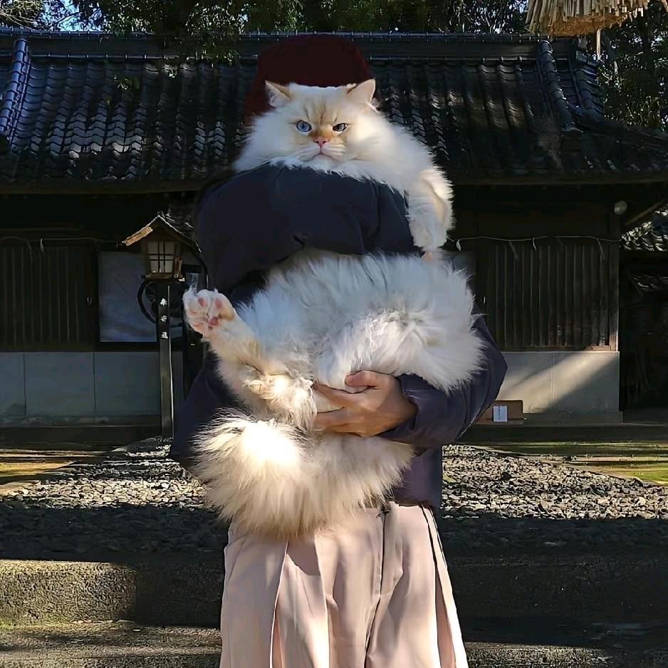 韩萌萌的小甜心