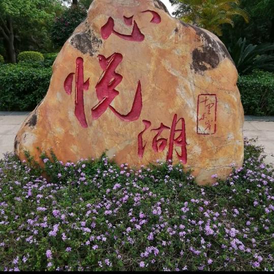 没事！奋斗！！！