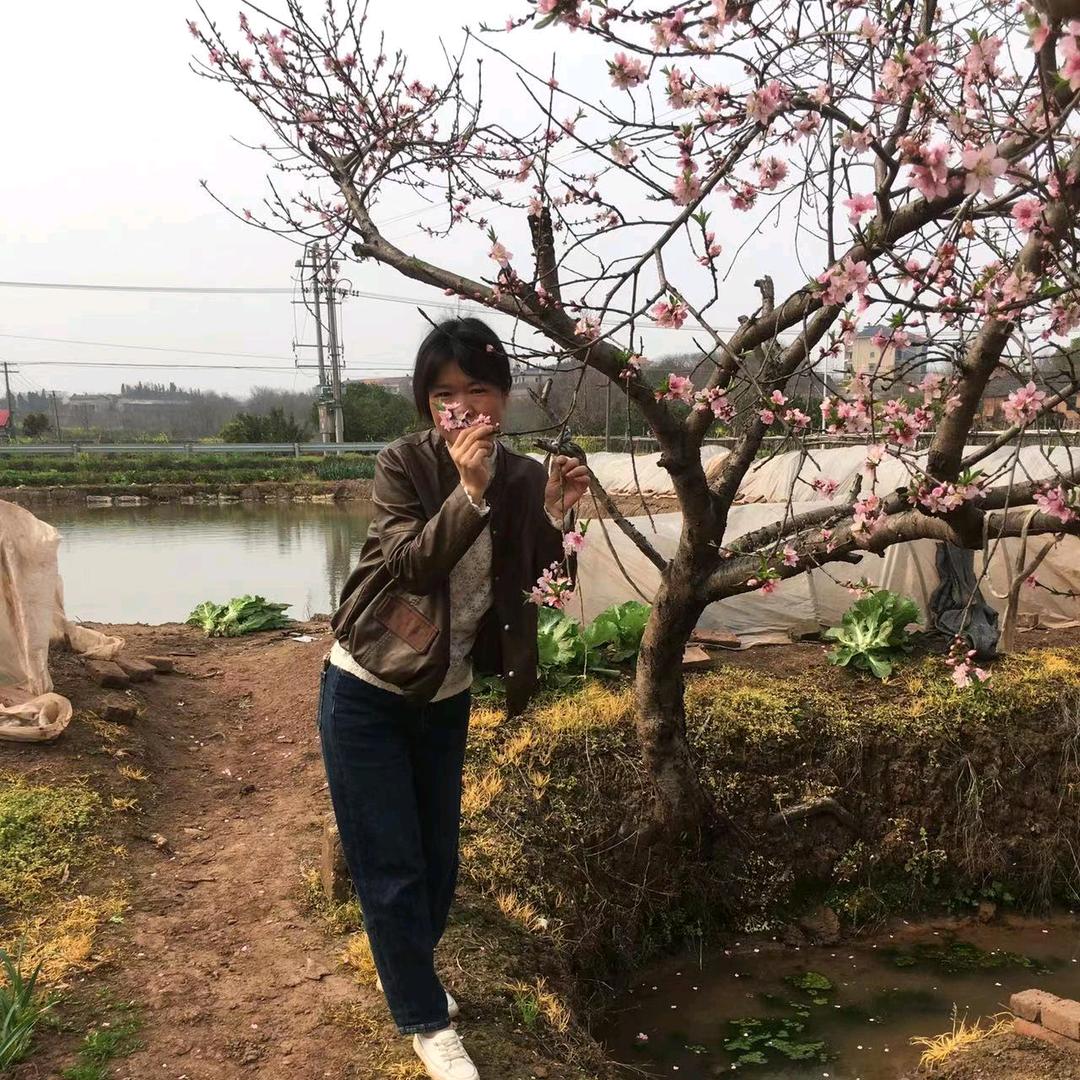 爱琴海