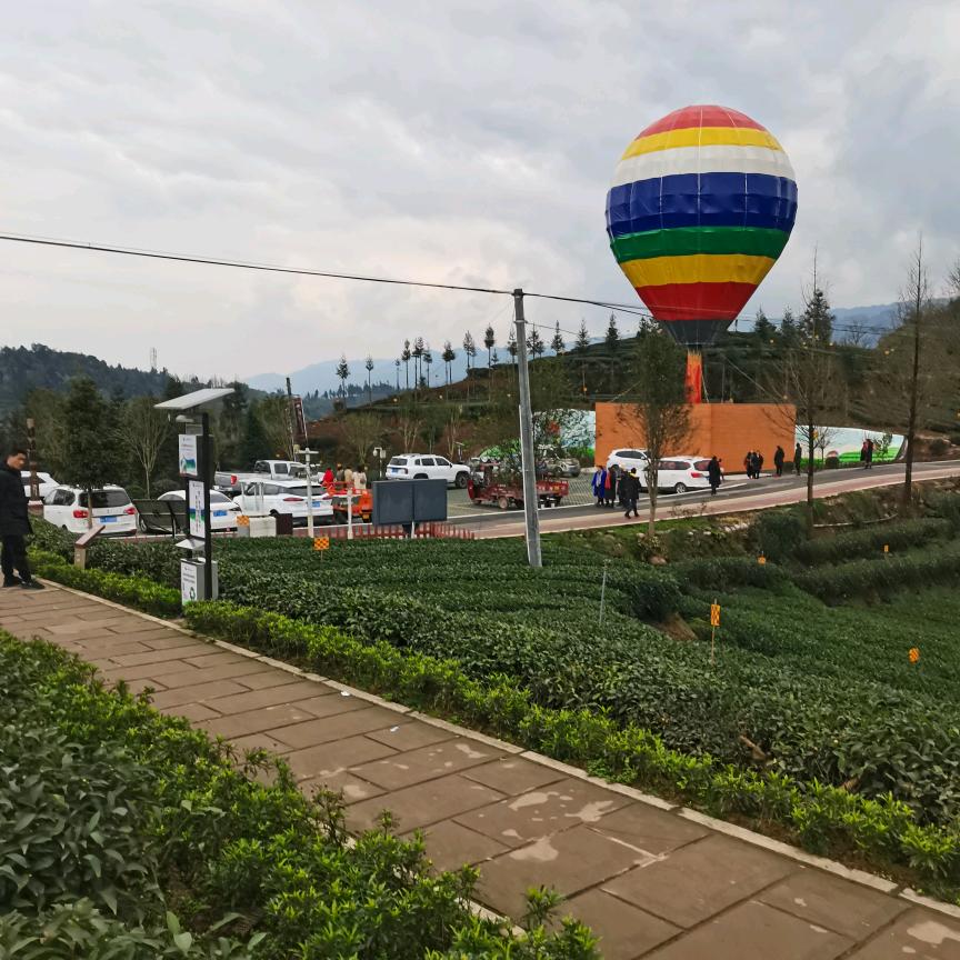 陈姐饲料糠面（3465039）