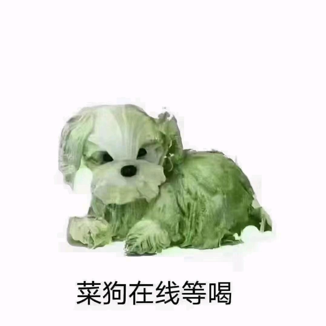 醉梦人