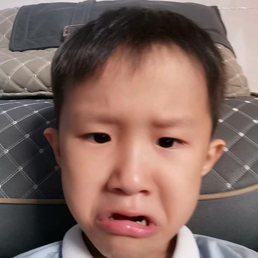 地球搬运工
