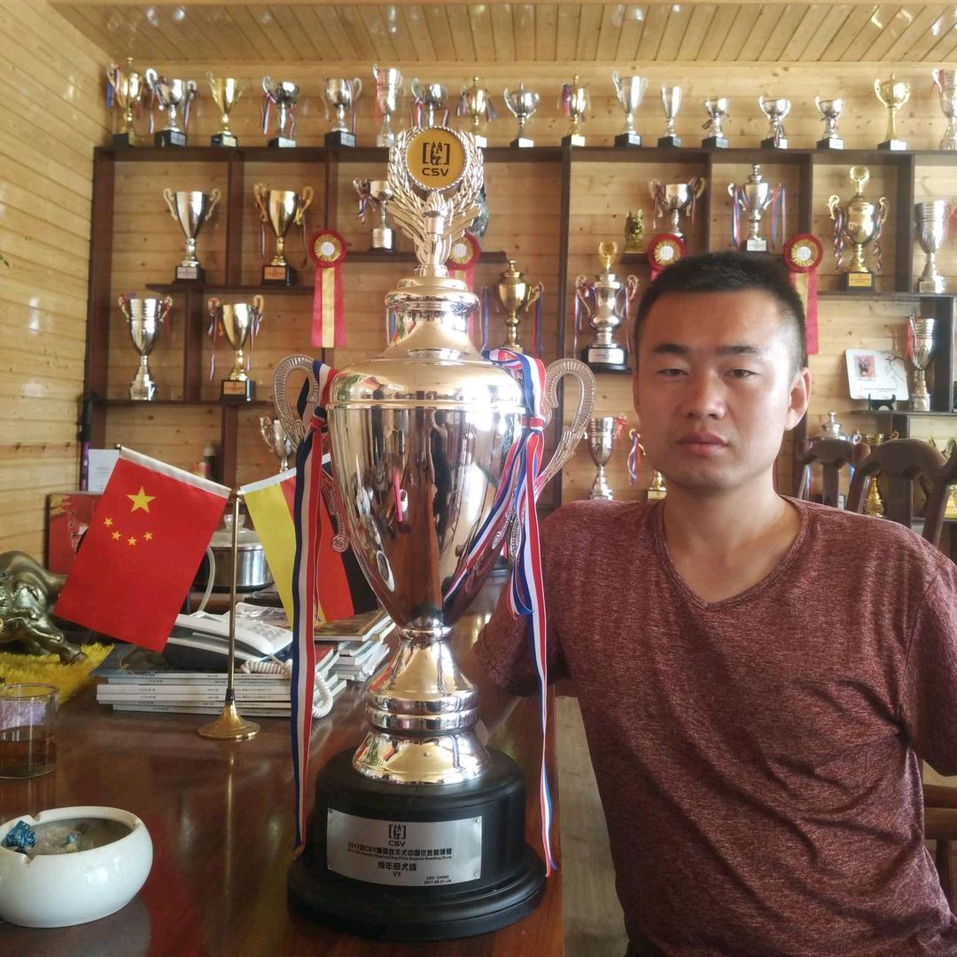 小德犬舍=德牧赛犬