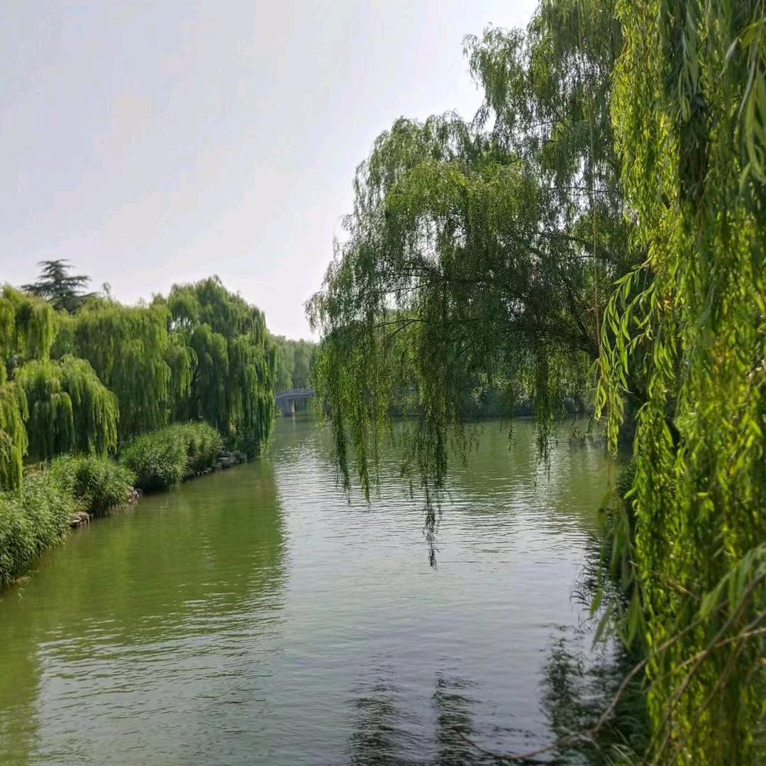 💞ꦿ᭄漂洋过海来看你💞ꦿ