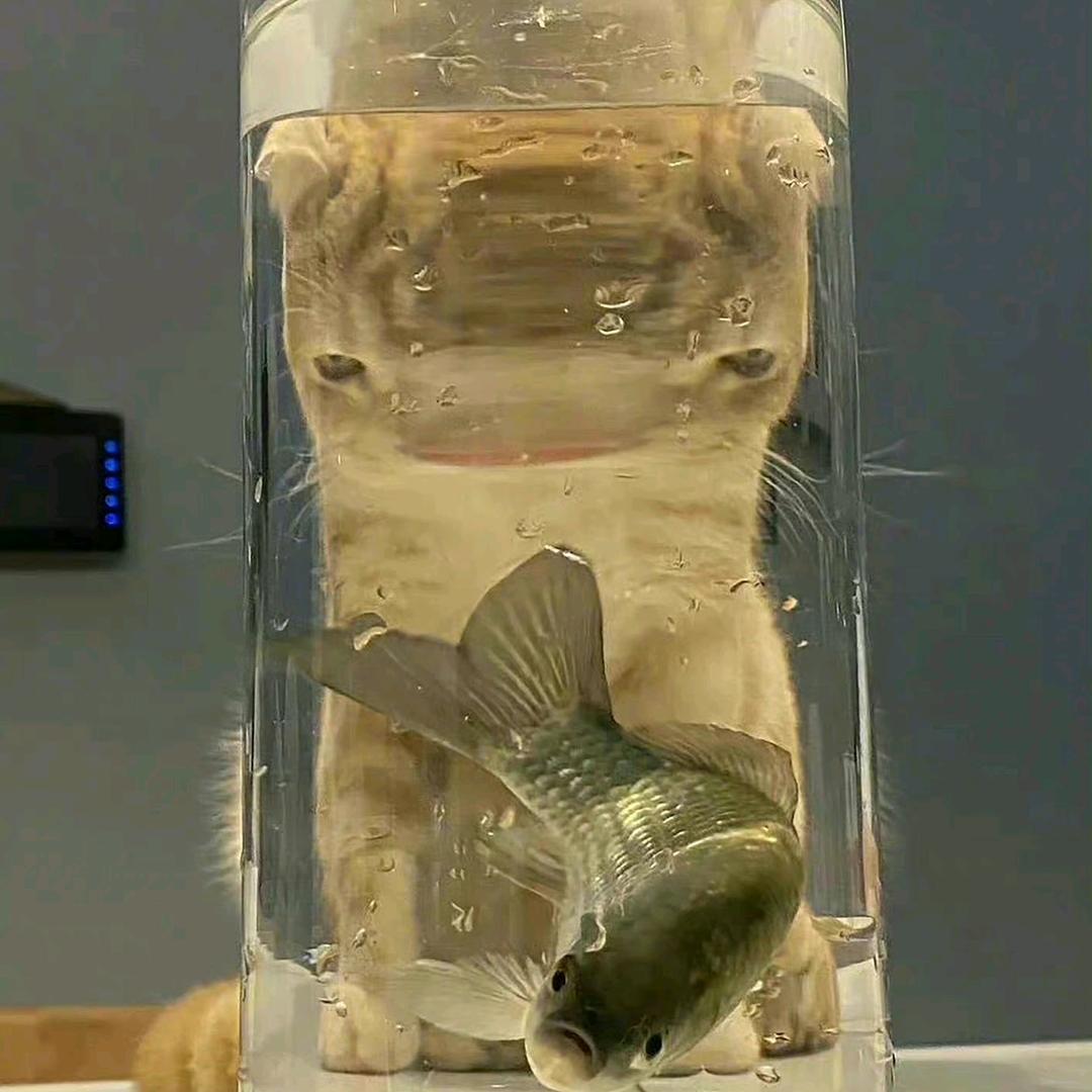 泽泽会啧啧