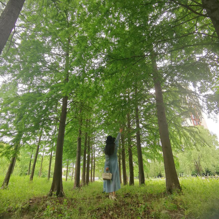 @蓉蓉🌈🌈