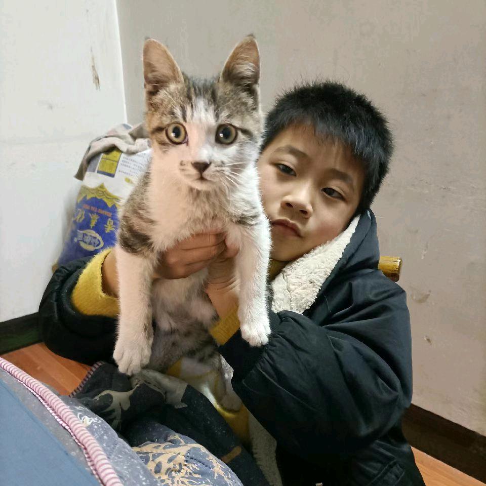 余额不足，己欠费