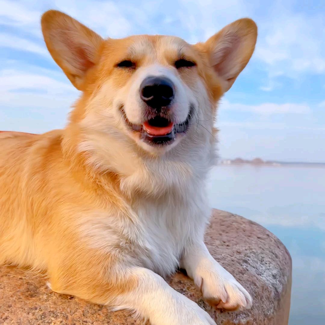 ৡຼ凉ᮨ了心湿了眼ོꦿ࿐໌້ᮨ