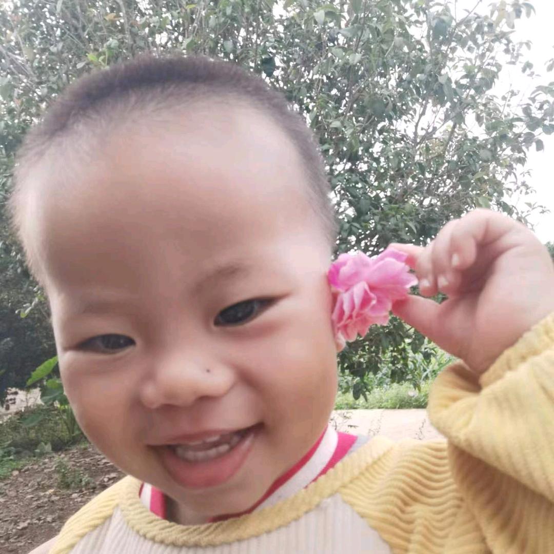 小初宝🍀