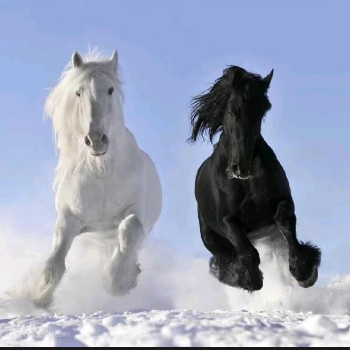 室内装修1393869699