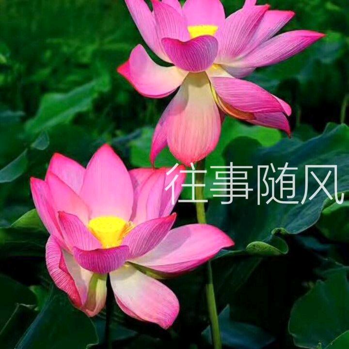 往事随风.