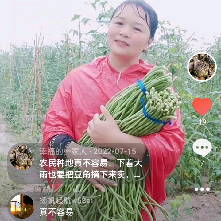 乡村一枝花