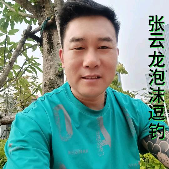 张云龙  泉河两岸