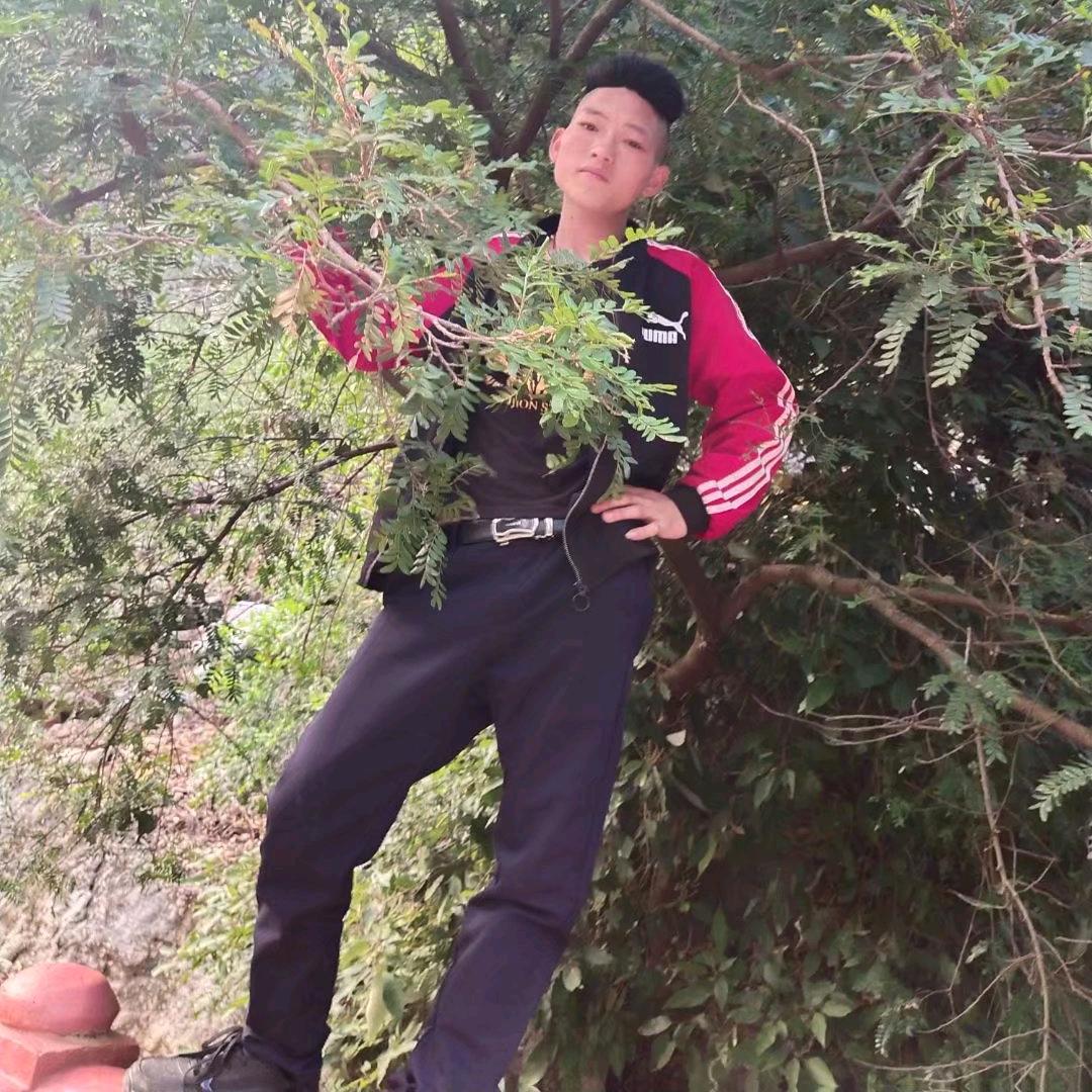 @遗憾………刘不住